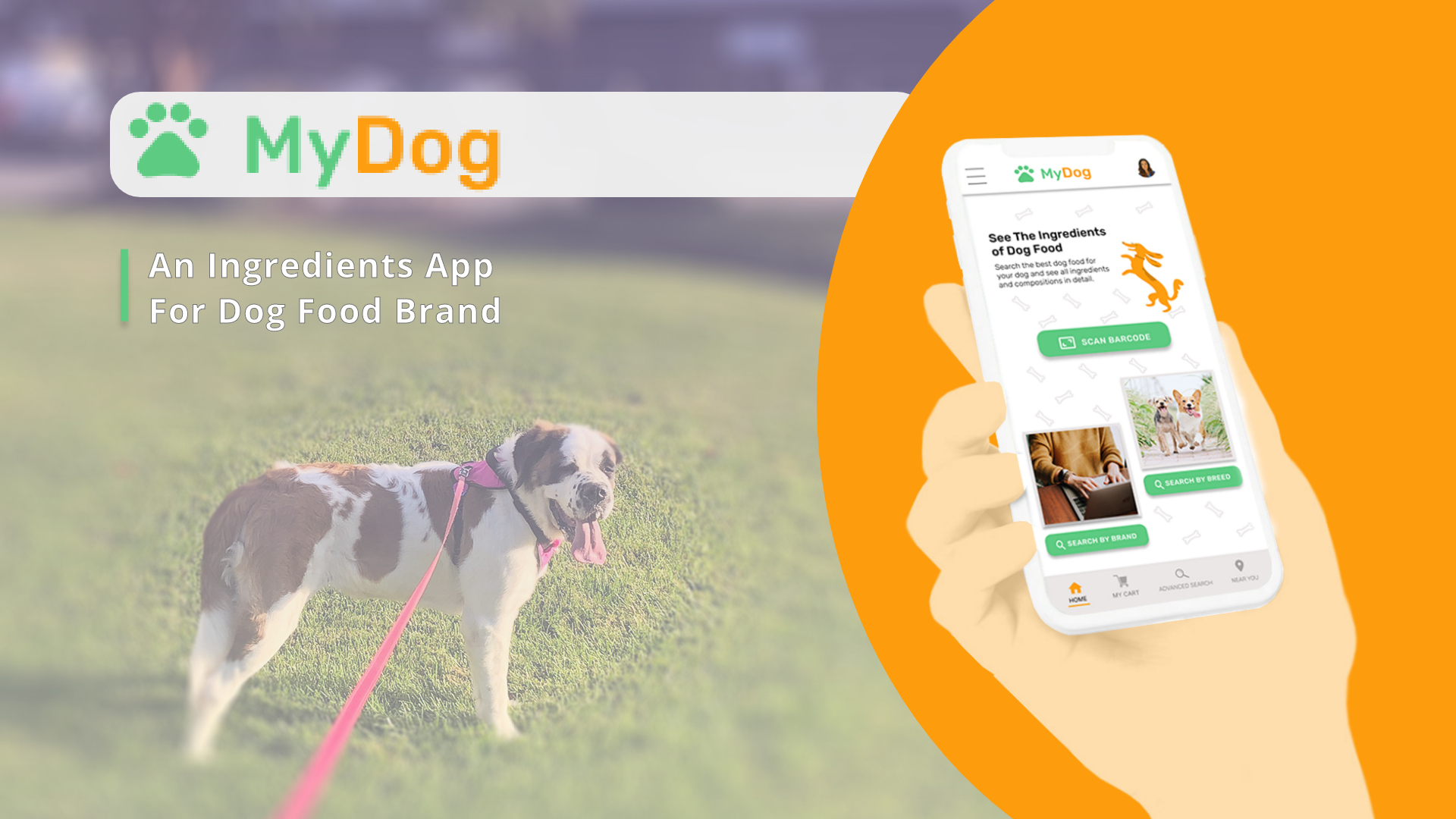 MyDog - An Ingredients App For Dog Food Brand